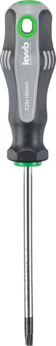 Отвертка Torx 25x100 мм с зажимом kwb by Einhell (669225)