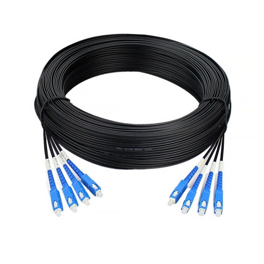 Оптический Drop pathcord