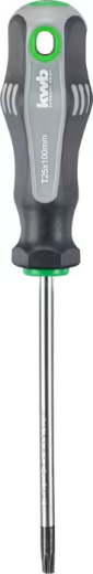 Отвертка Torx 25x100 мм с зажимом kwb by Einhell (669225)