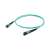 Оптический патчкорд OK-MPO/UPC-MPO/UPC-FF-MM-12F-OM3-10m